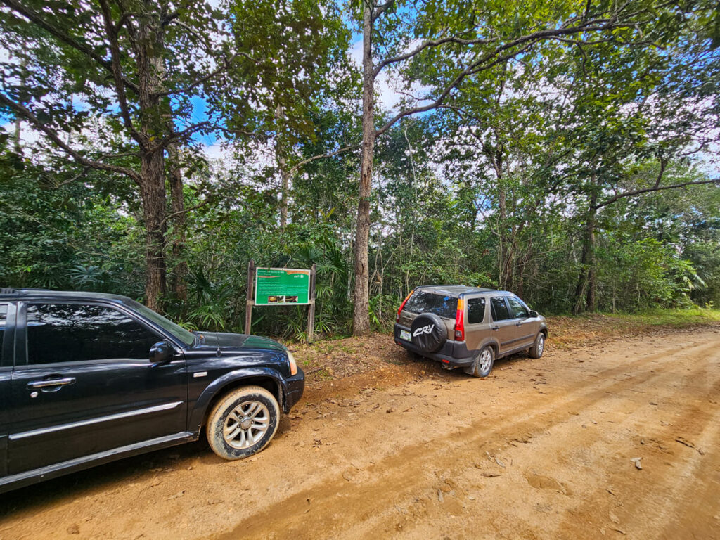 Two cars parked by the side of the dirt road on the access route to Rio Frio Cave in the Mountain Pine Ridge Forest Reserve.