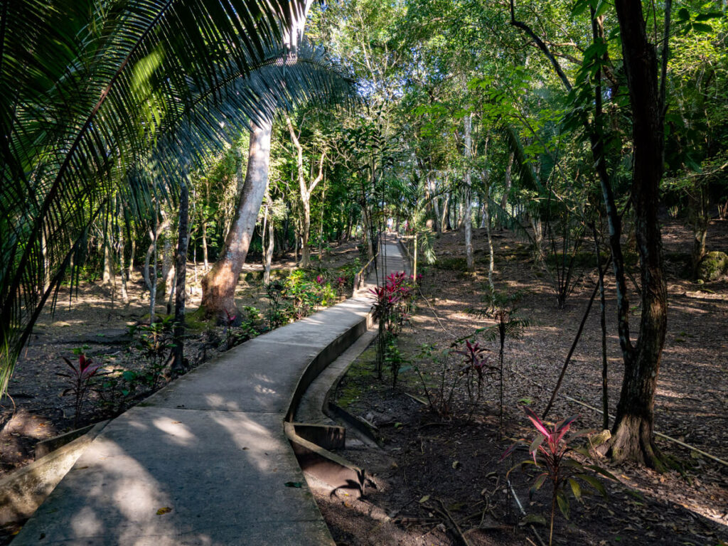 A path through a forest leading to Cahal Pech, a Mayan archaeological site in San Ignacio, Belize.