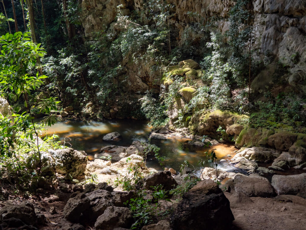 A river winding through the rainforest at Rio Frio Cave in the Mountain Pine Ridge Forest Reserve.