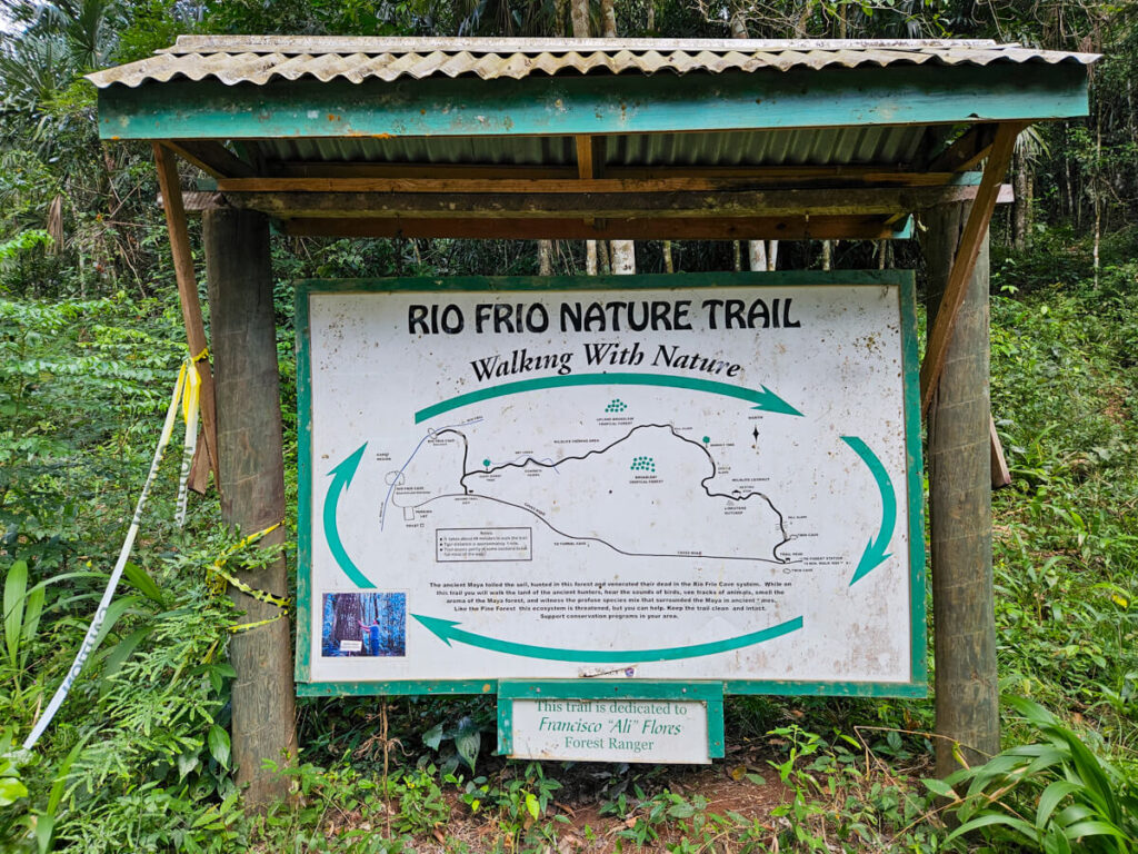 A map of Rio Frio Nature Trail, which loops around Rio Frio Cave in the Mountain Pine Ridge Forest Reserve.