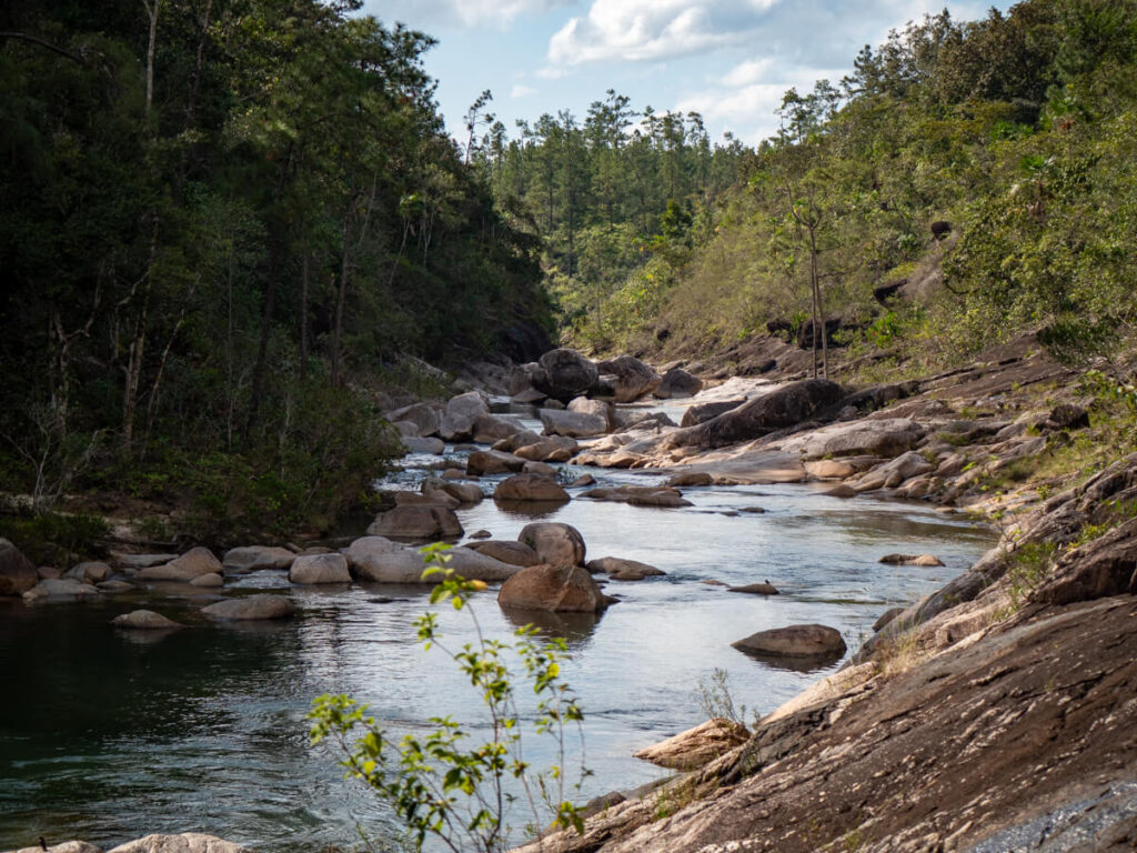 A serene river winding around boulders and running through a valley in the Mountain Pine Ridge Forest Reserve.