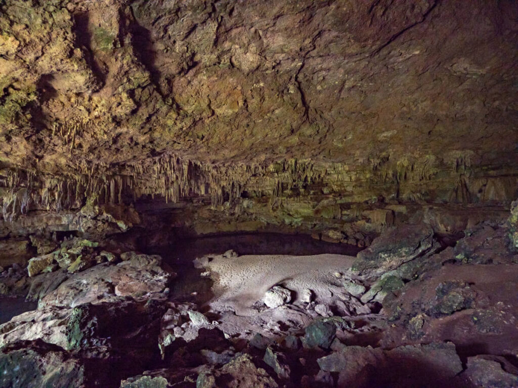 Lots of stalactites hanging from the ceiling of the huge Rio Frio Cave in the Mountain Pine Ridge Forest Reserve.