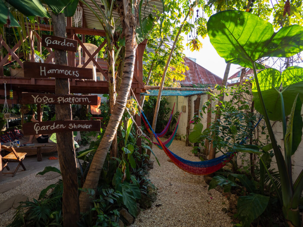The leafy interior of a courtyard with hammocks in Ciao Cacao, one of the best hostels in Flores, Guatemala.