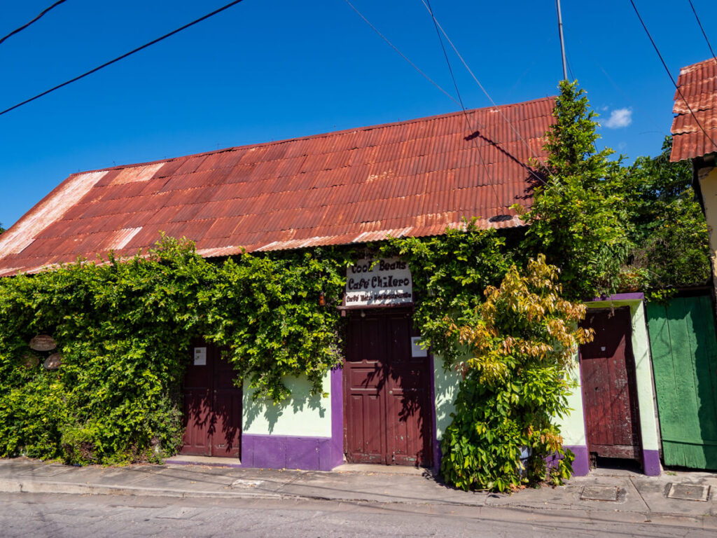 The purple exterior covered in plants of Cool Beans Cafe in Flores, Guatemala.