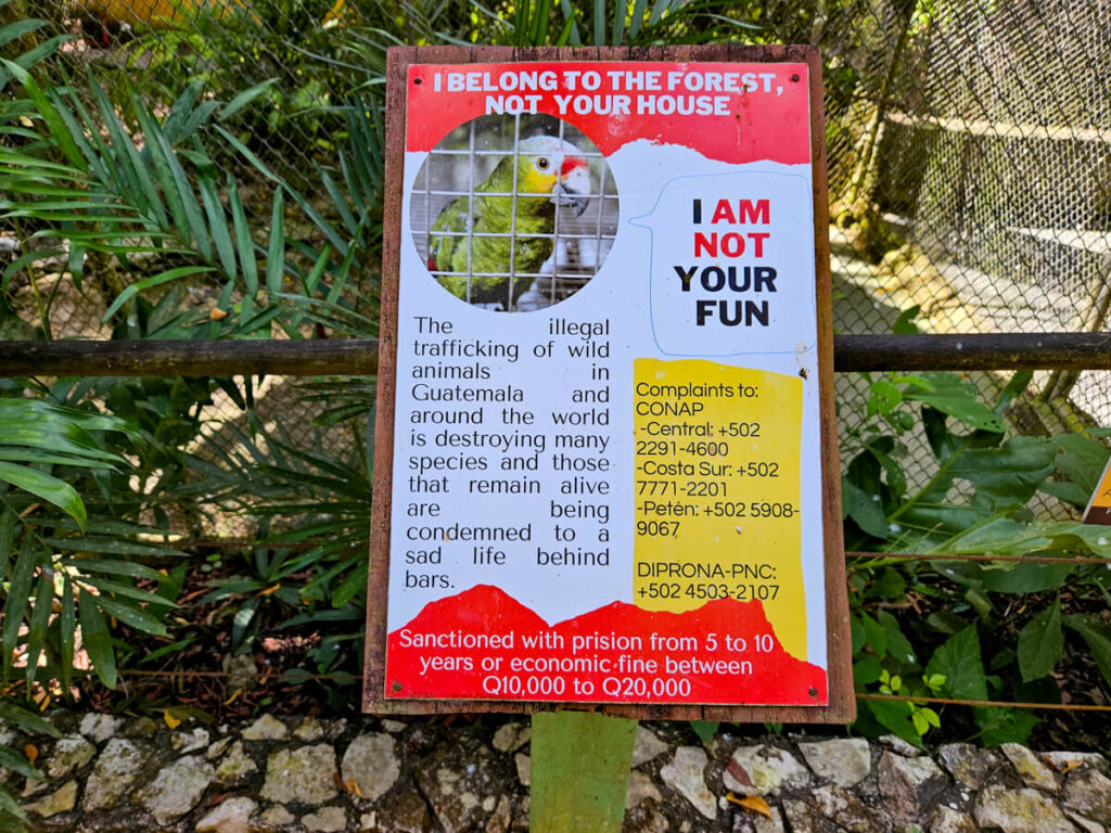A sign warning about the dangers of the illegal wildlife trade in ARCAS, Guatemala.