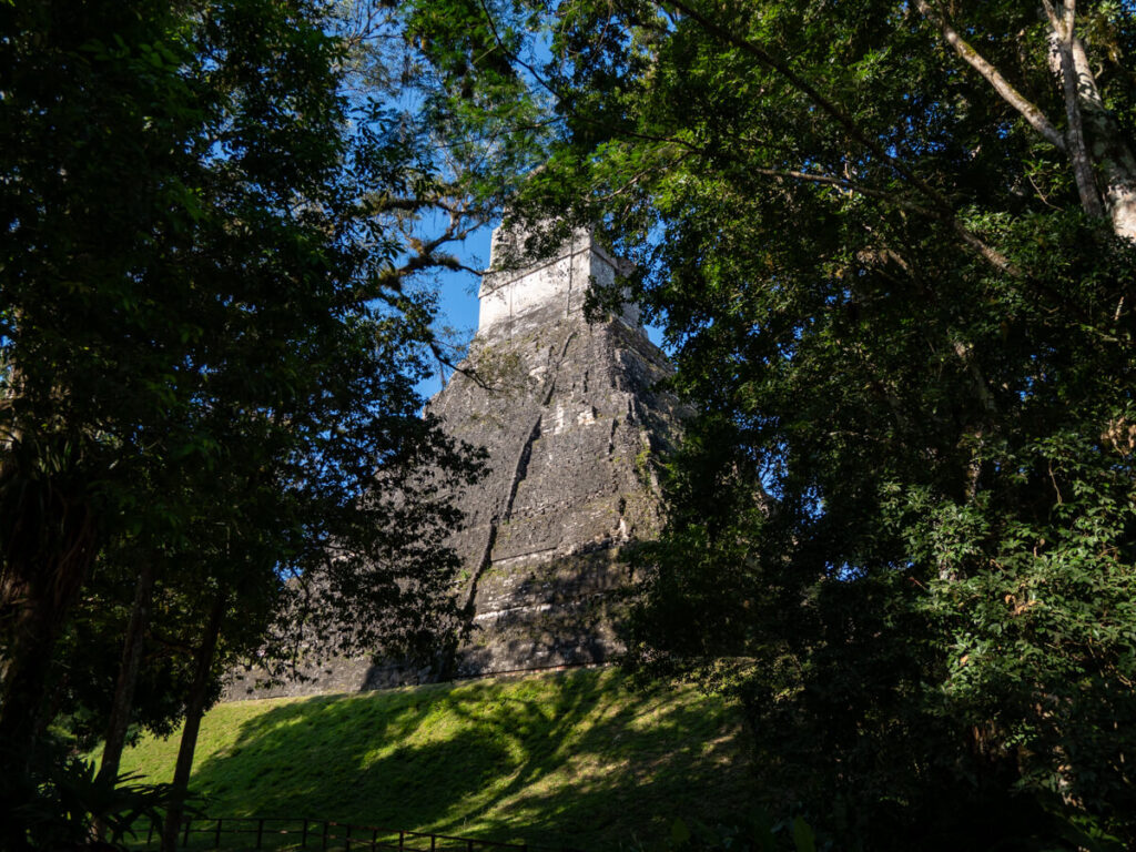 A tall temple peeking through jungle foliage in Tikal.