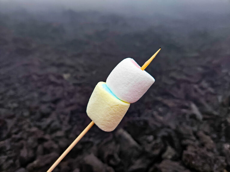 Two marshmallows on a stick in front of black volcanic rock on Pacaya Volcano.