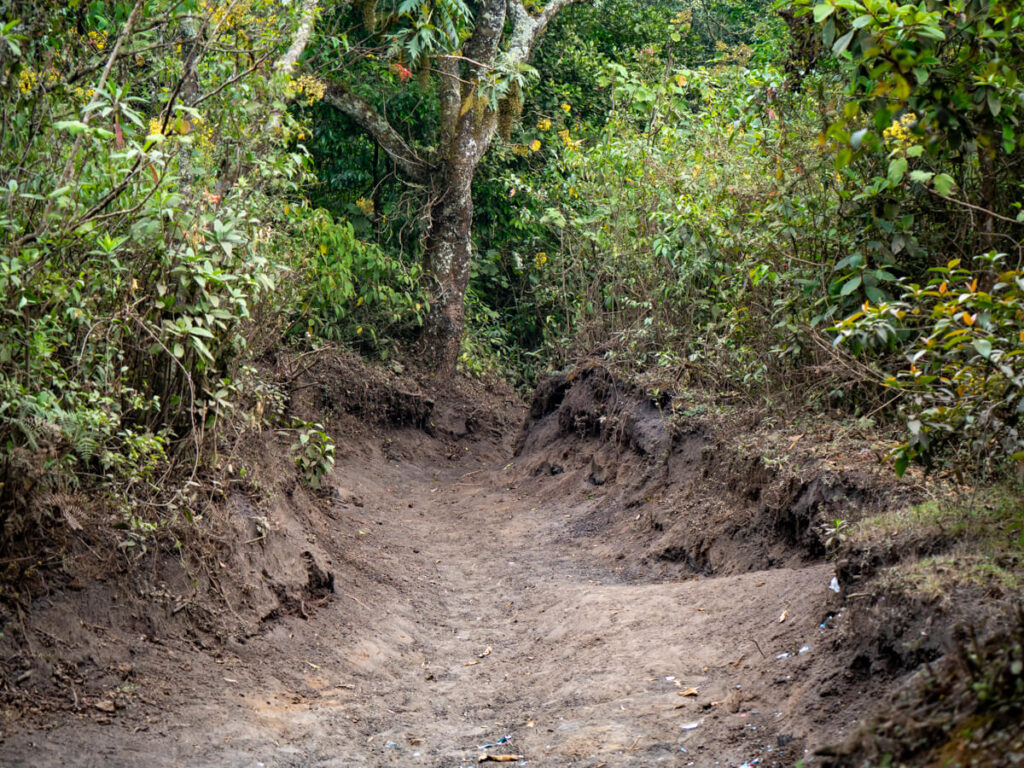 A dirt hiking trail in Pacaya Volcano National Park.