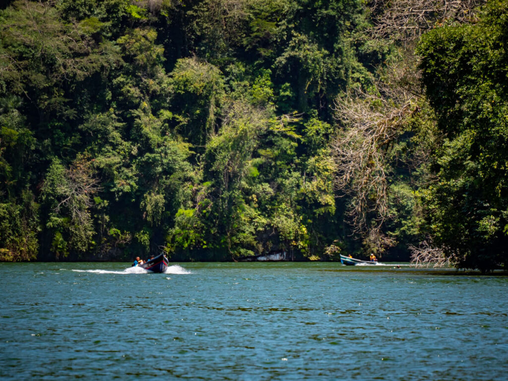 A boat speeding through a large canyon lined with thick jungle in Río Dulce.