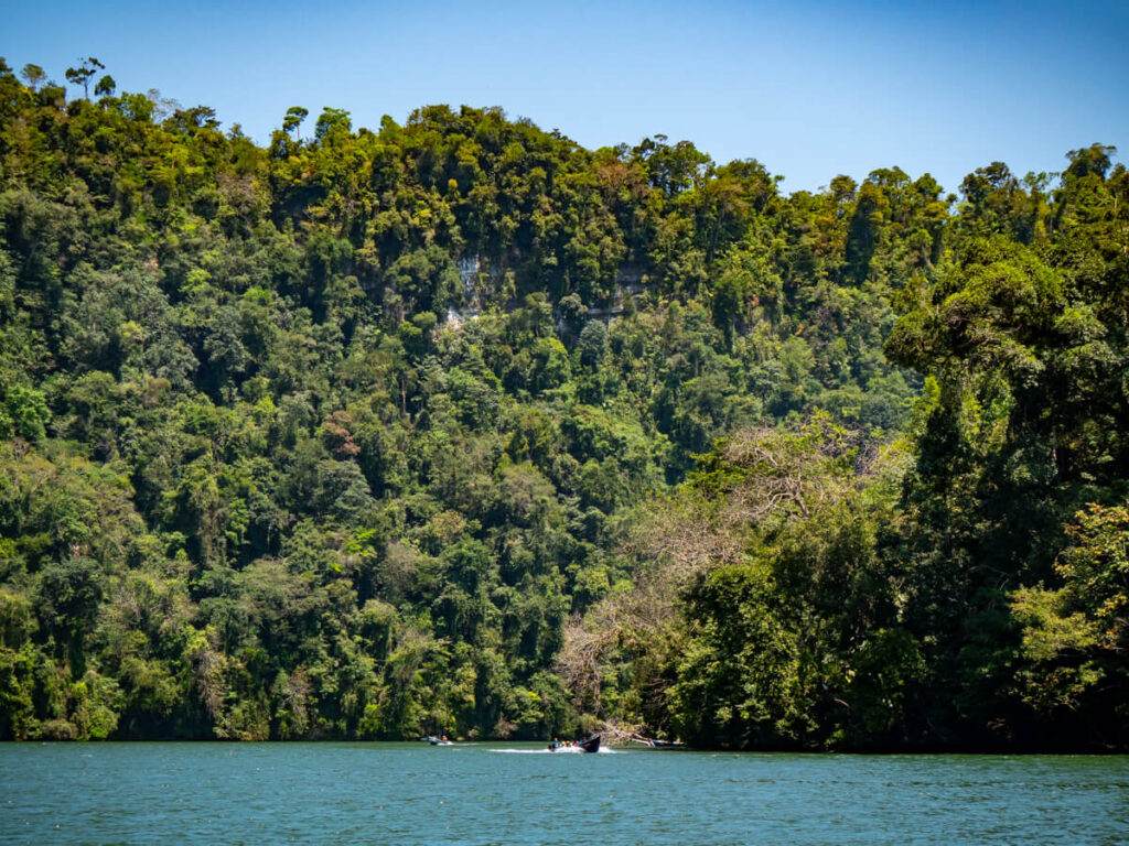 A boat surrounded by towering cliffs covered in thick jungle in Río Dulce.