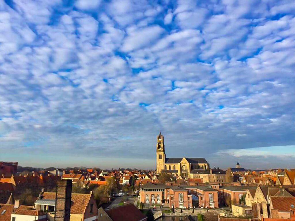 The city of Bruges by day bathed in golden light.