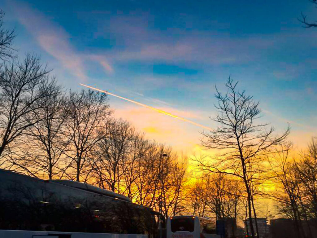 Sunrise behind the trees in Bruges.