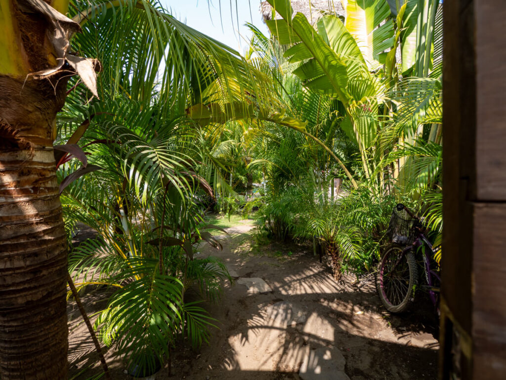 A walkway surrounded by greenery in Casa Zala, a popular boutique hotel in El Paredón.