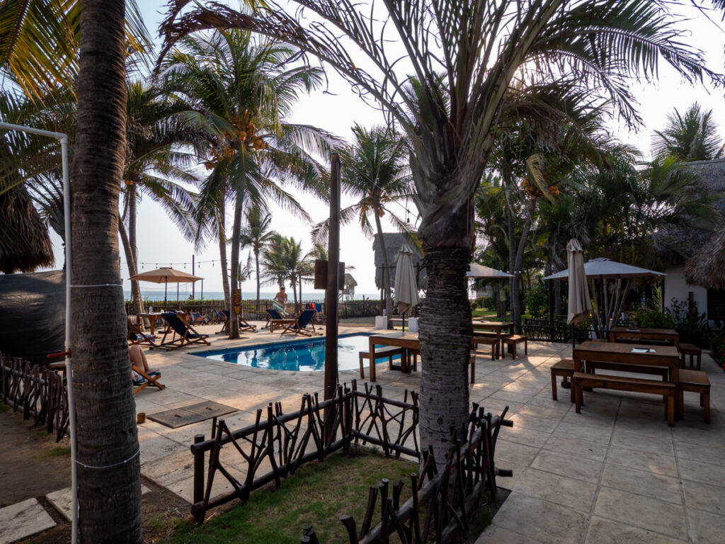 A pool in the open courtyard of Hotel Paredon Surf House, surrounded by palm trees in El Paredón, Guatemala.