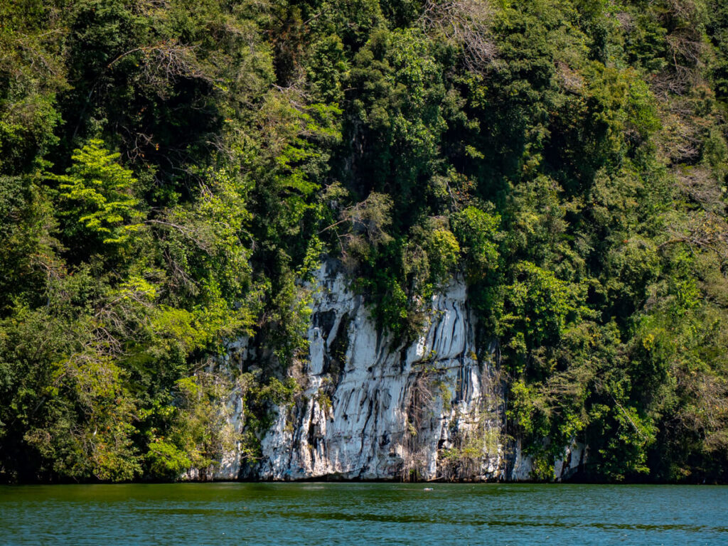 A tall limestone cliff covered in greenery on the Dulce River in Guatemala.