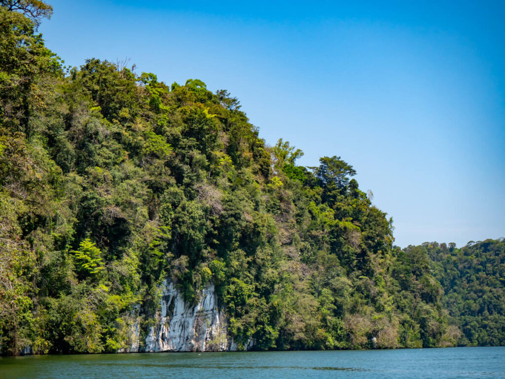 A tall limestone cliff covered in greenery towering over the Río Dulce.