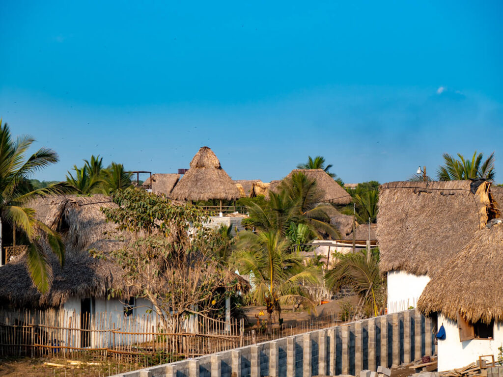 Thatched palapa roofs surrounded by palm trees in El Paredón, Guatemala.