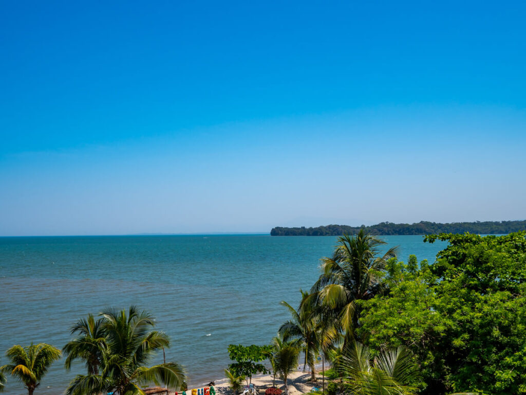 A view of palm trees in front of the blue Caribbean Sea from Livingston, Guatemala.
