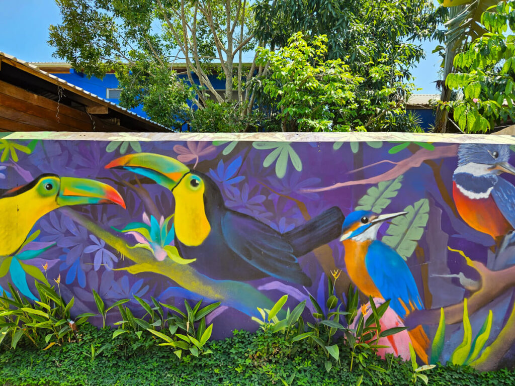A colourful mural of a toucan and kingfisher in Livingston.