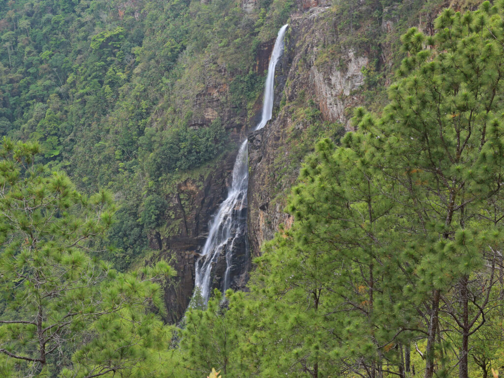 A tall waterfall surrounded by greenery, Thousand Foot Falls, the tallest waterfall in Central America, viewed form a distance.