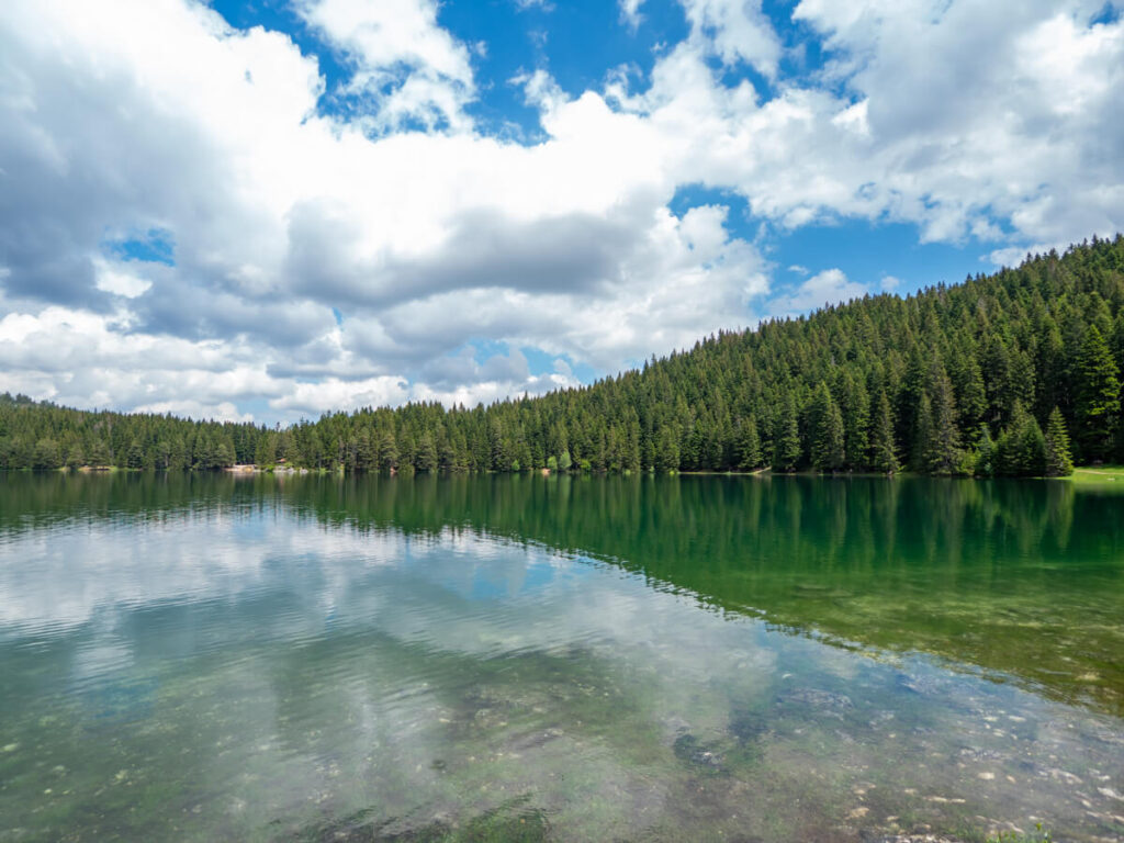 Trees reflected in the calm surface of the Black Lake in Durmitor National Park.