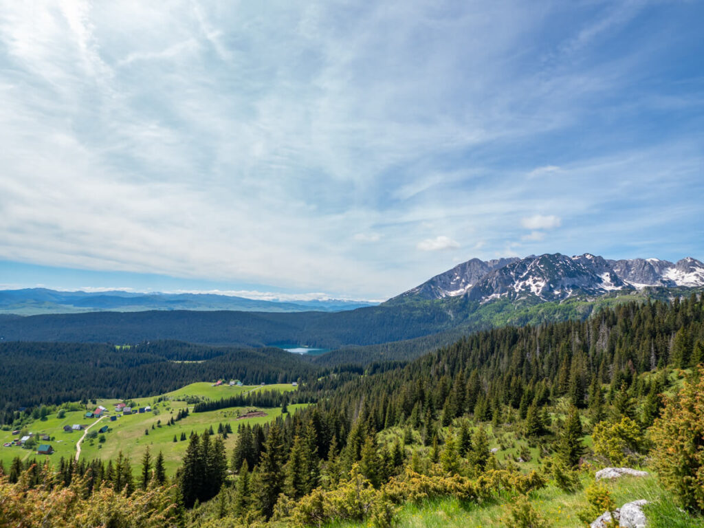 The Black Lake surrounded by forest and dominated by snowy mountains in Durmitor National Park.
