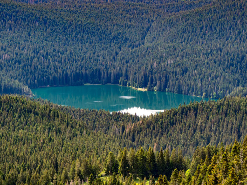 The emerald Black Lake surrounded by thick pine forest in Durmitor National Park.