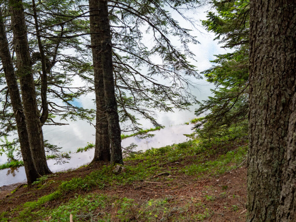 A flooded trail on the edge of the Black Lake in Durmitor National Park.