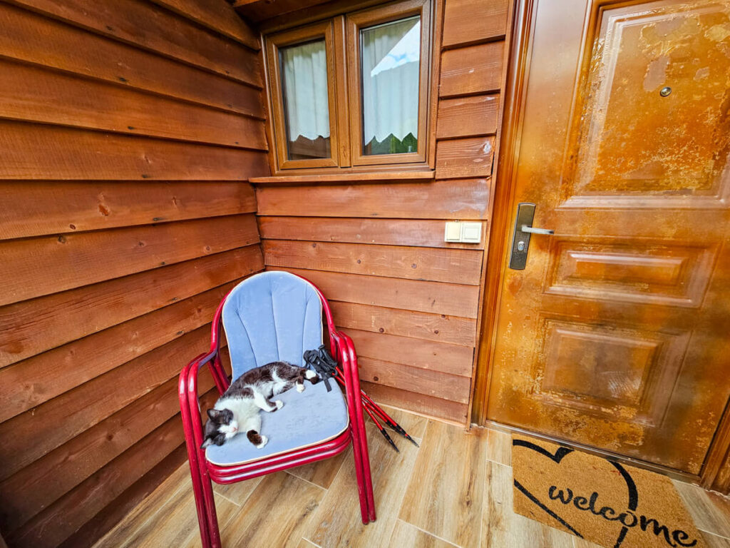 A black and white cat sitting on a chair on the porch of a wooden cabin. A set of hiking poles are leaning on the chair.