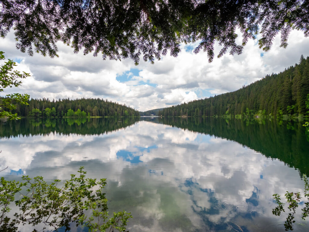 A calm lake with reflections of the trees that line its shore at Black Lake in Durmitor National Park.