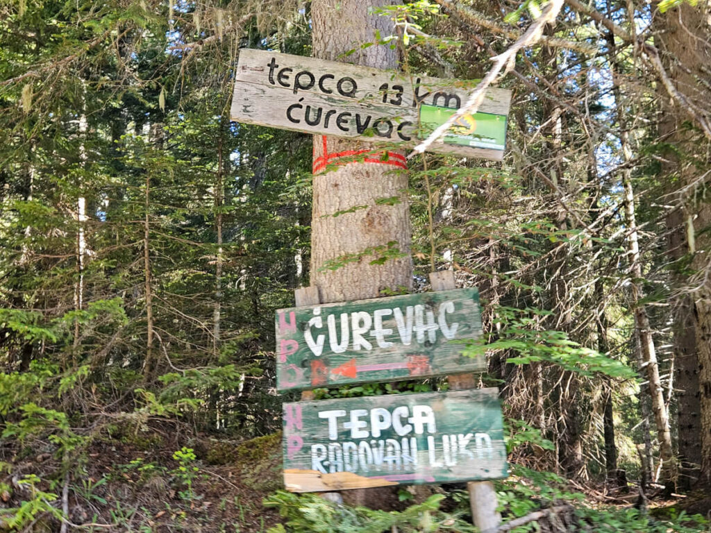 Wooden signs on a tree trunk pointing the way to Ćurevac.