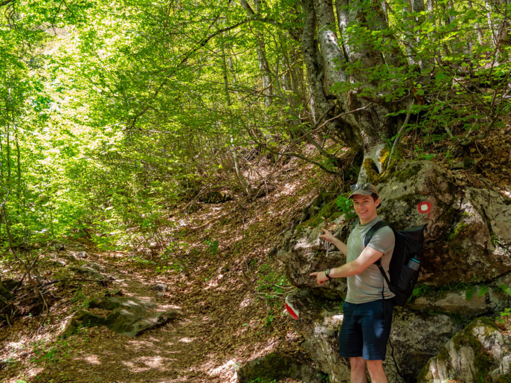 Dan standing in front of a boulder with two painted waymarkers on, pointing to the left at a trail through the forest on the Three Peaks trail in Prokletije National Park.