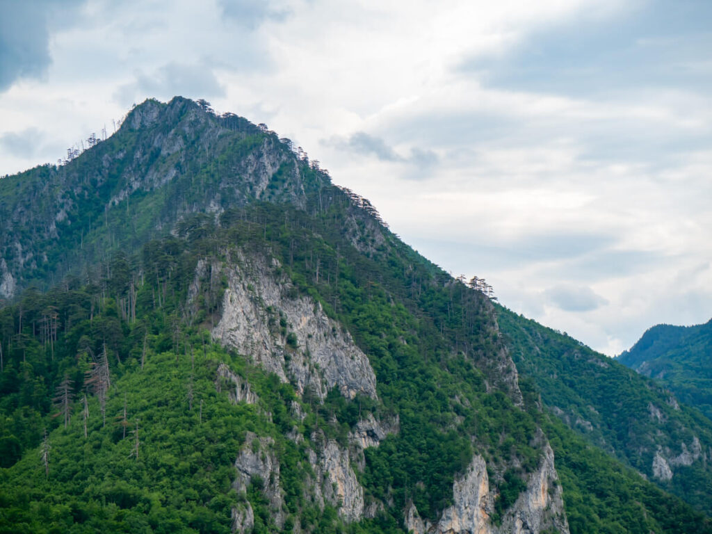 Steep gorge walls of the Tara River Canyon in Durmitor National Park.