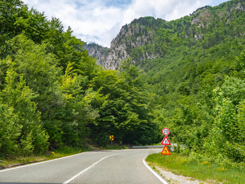 A road in rural Montenegro stretching through a forest towards mountains.