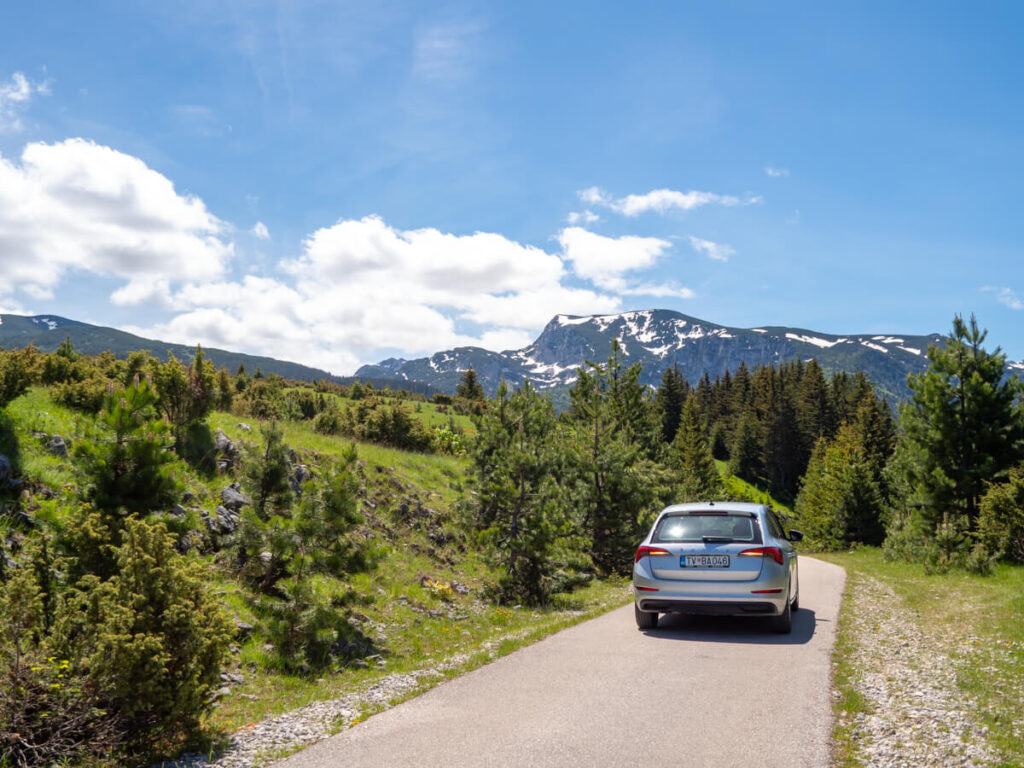 A silver car driving through the forests towards snowy mountains on the Durmitor Ring Road.