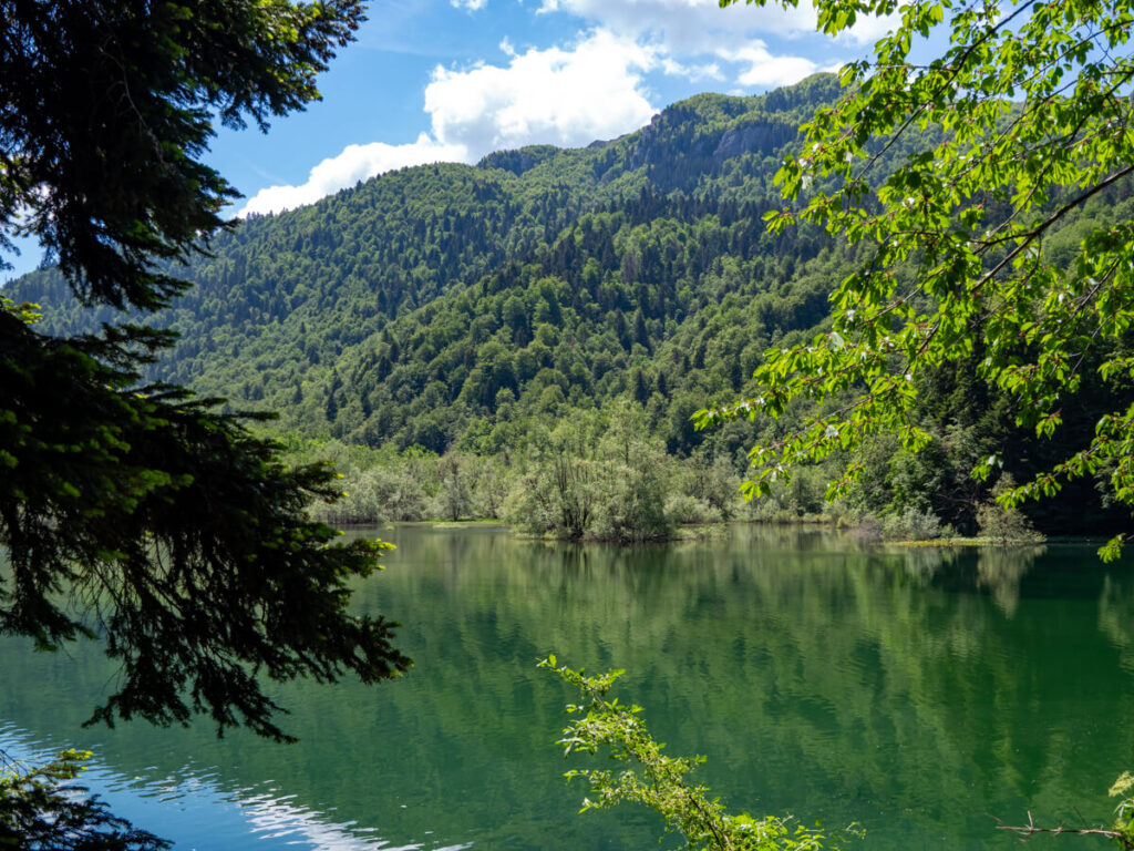 Lake Biograd peeking through trees on the walk around the shoreline.