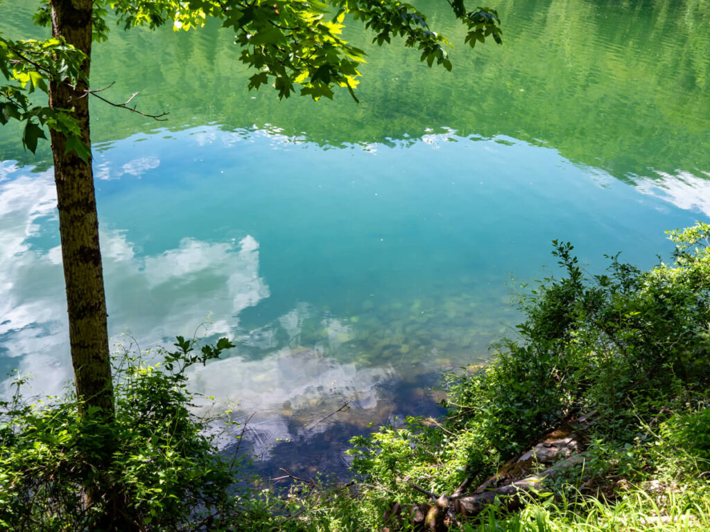 The still surface of Lake Biograd.