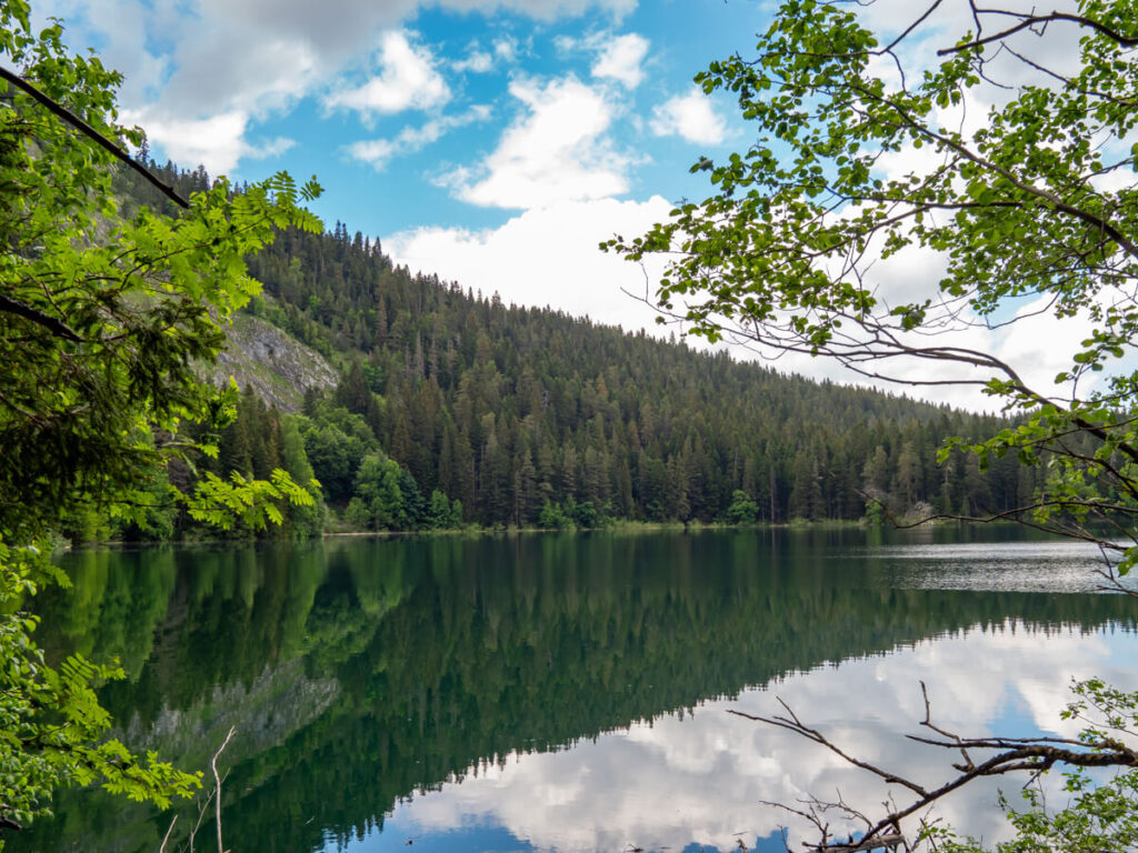 A forest reflected in the waters of the Black Lake in Durmitor National Park.