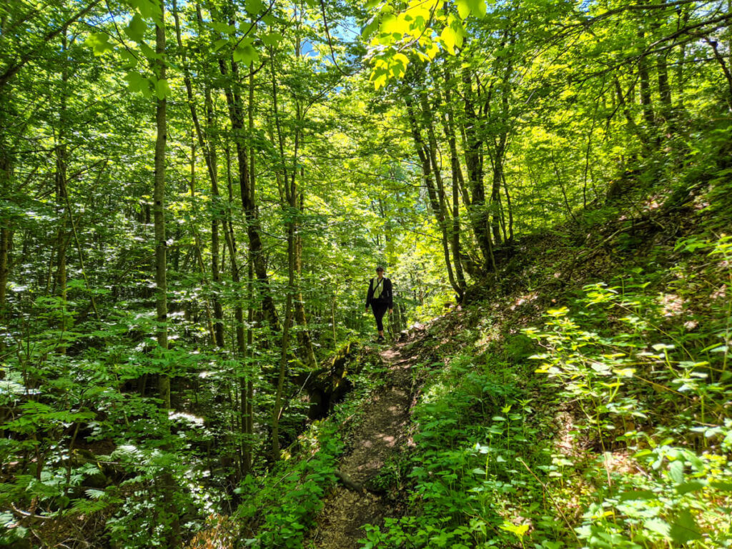 Lucy on a forest path on the Three Peaks trail in Prokletije National Park.