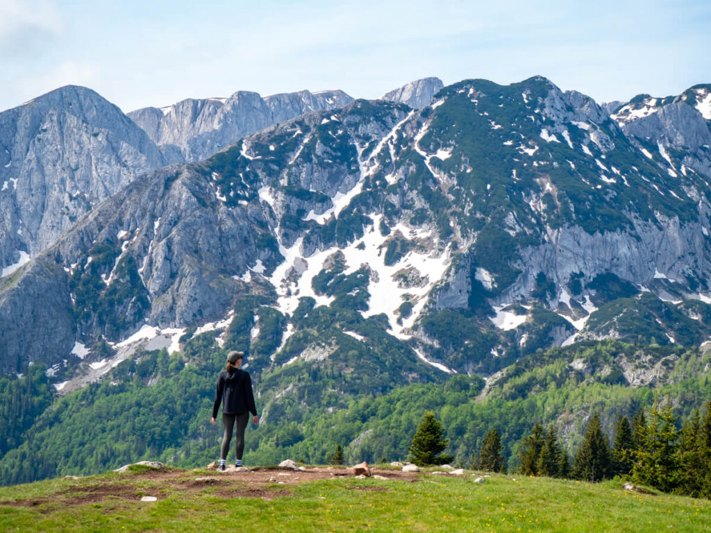 Lucy standing on a grassy ridge looking at a dark mountain with a thin covering of snow in Durmitor National Park.