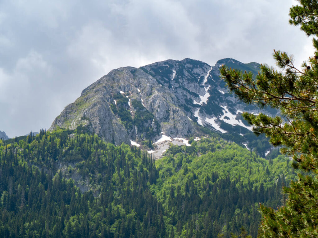 A mountain peeking above a forest near the Black Lake in Durmitor National Park.