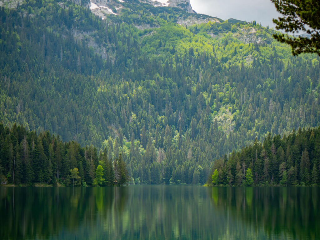 The forest-lined shore of the Black Lake near Žabljak dominated by Međed Peak.