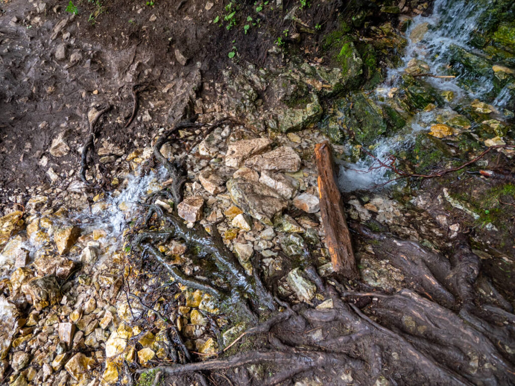 A small stream crossing on the Black Lake trail in Durmitor National Park.