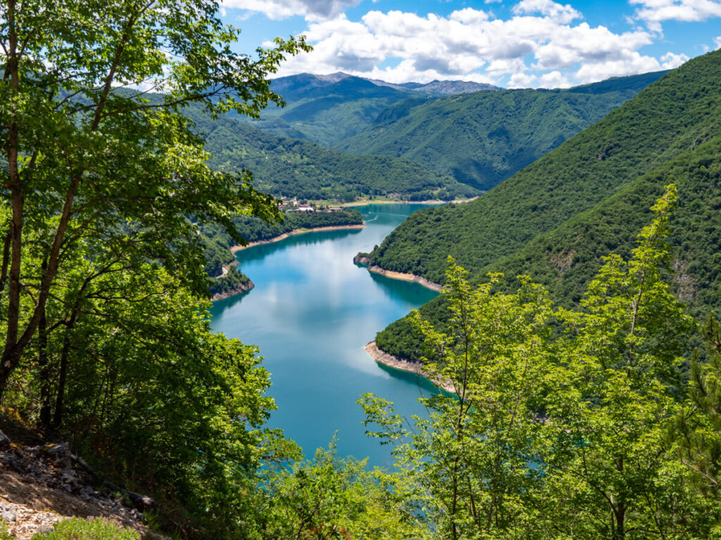 Piva Canyon on a sunny day. Each side of the canyon is covered in thick, luscious forestry.