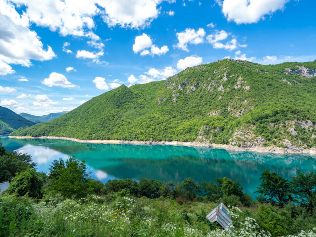 The tick greenery of Piva Nature Reserve not far from Durmitor National Park.