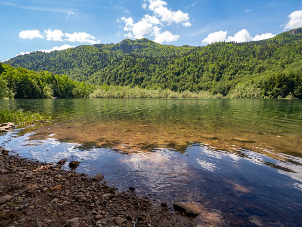 Trees reflected in the surface of Lake Biograd in Biogradska Gora National Park.