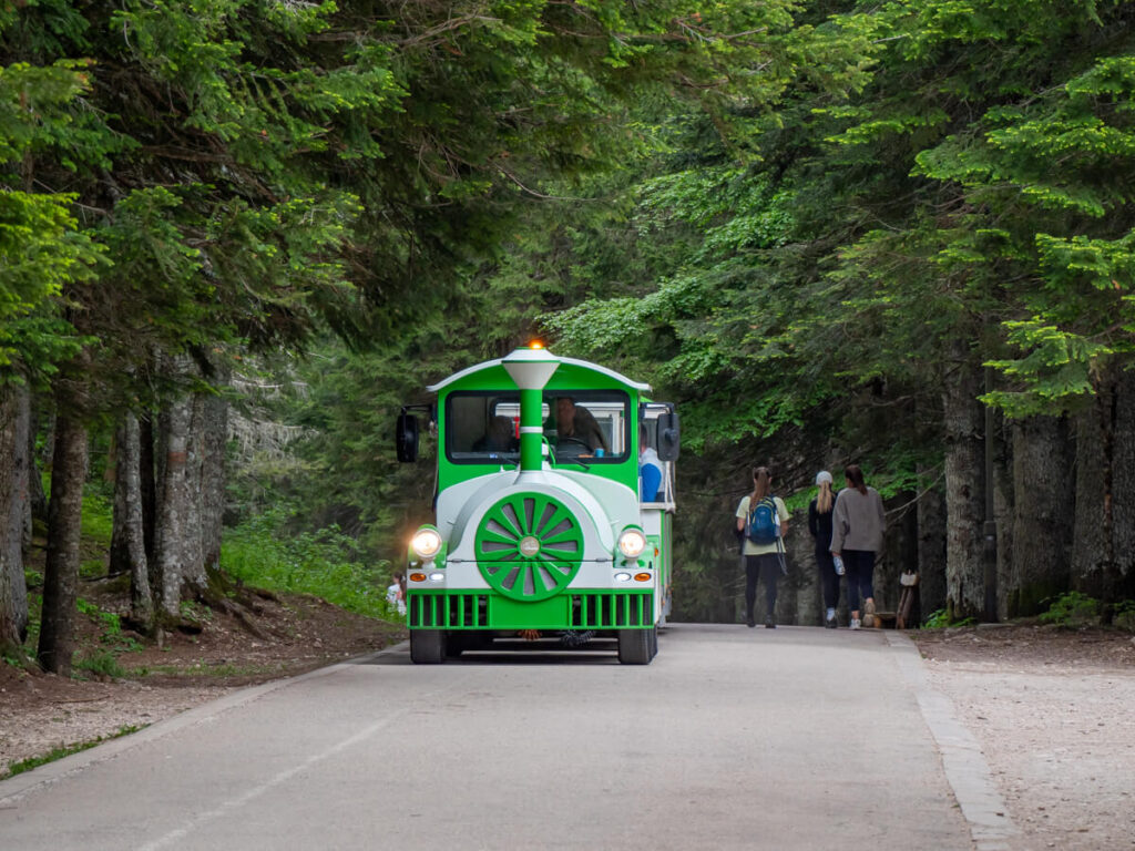 A road train carrying travellers to the Black Lake in Durmitor National Park.