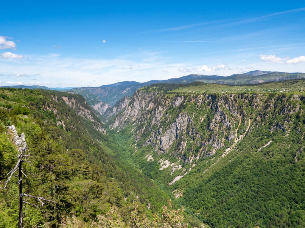 A wide and long green gorge, Sušica Canyon, in Durmitor National Park.