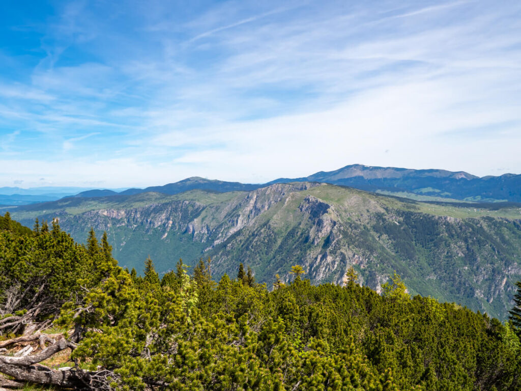 The huge Tara River Canyon viewed from a distance behind forest on the Durmitor Ring Road.