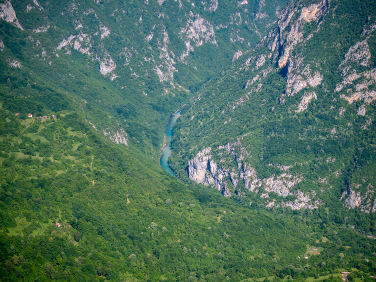 A turquoise river curving through the deep green Tara River Canyon in Durmitor National Park.